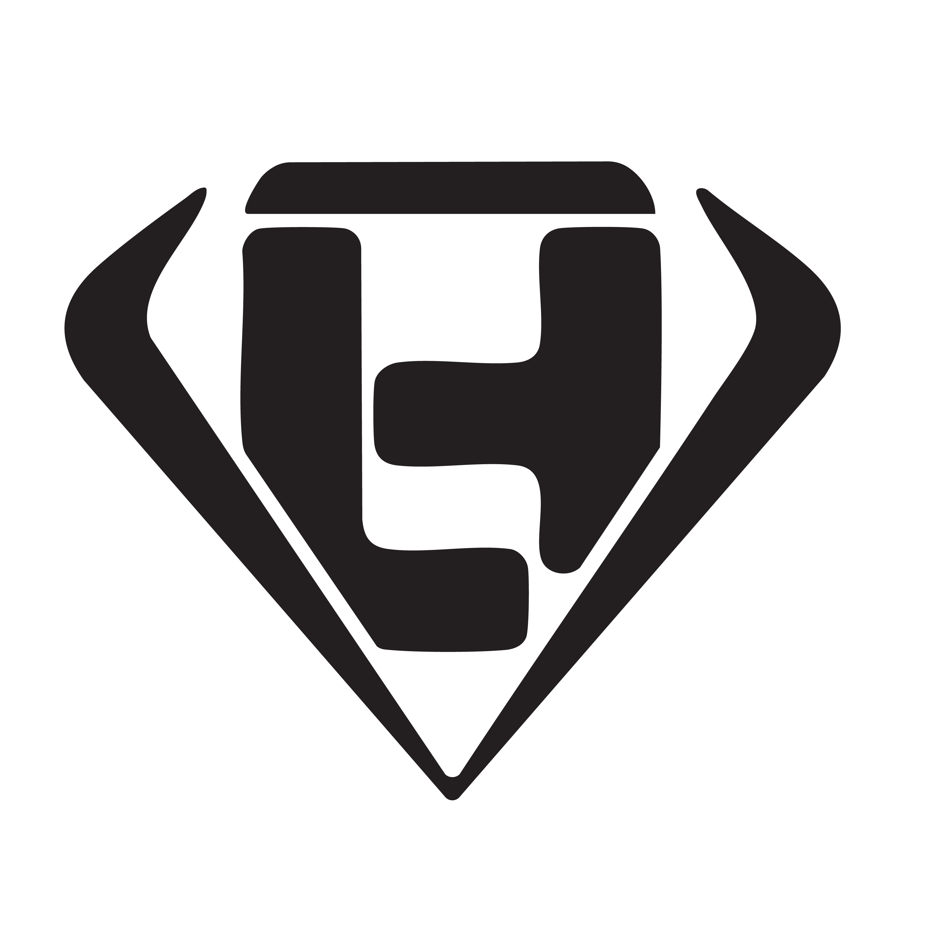 project logo