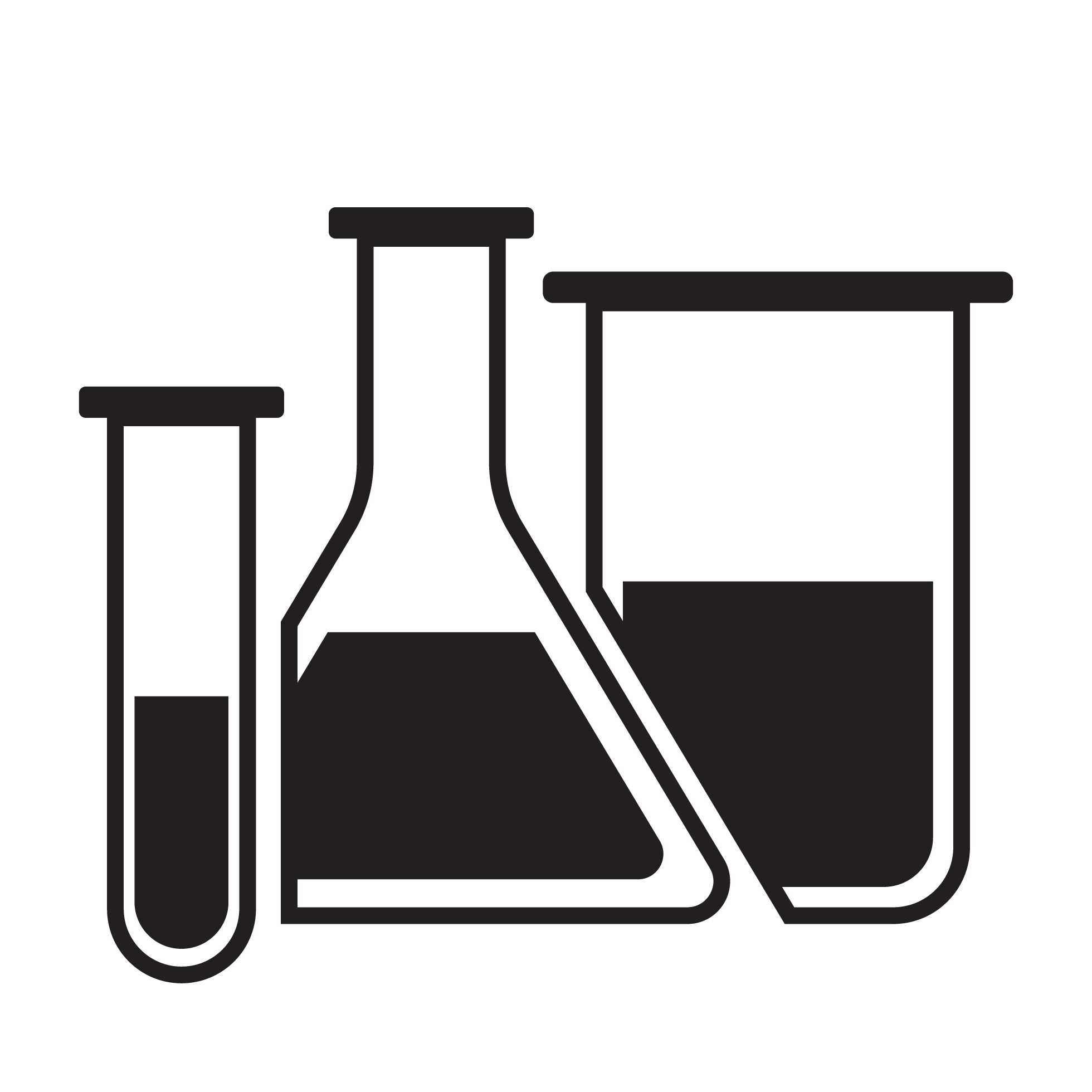 project logo