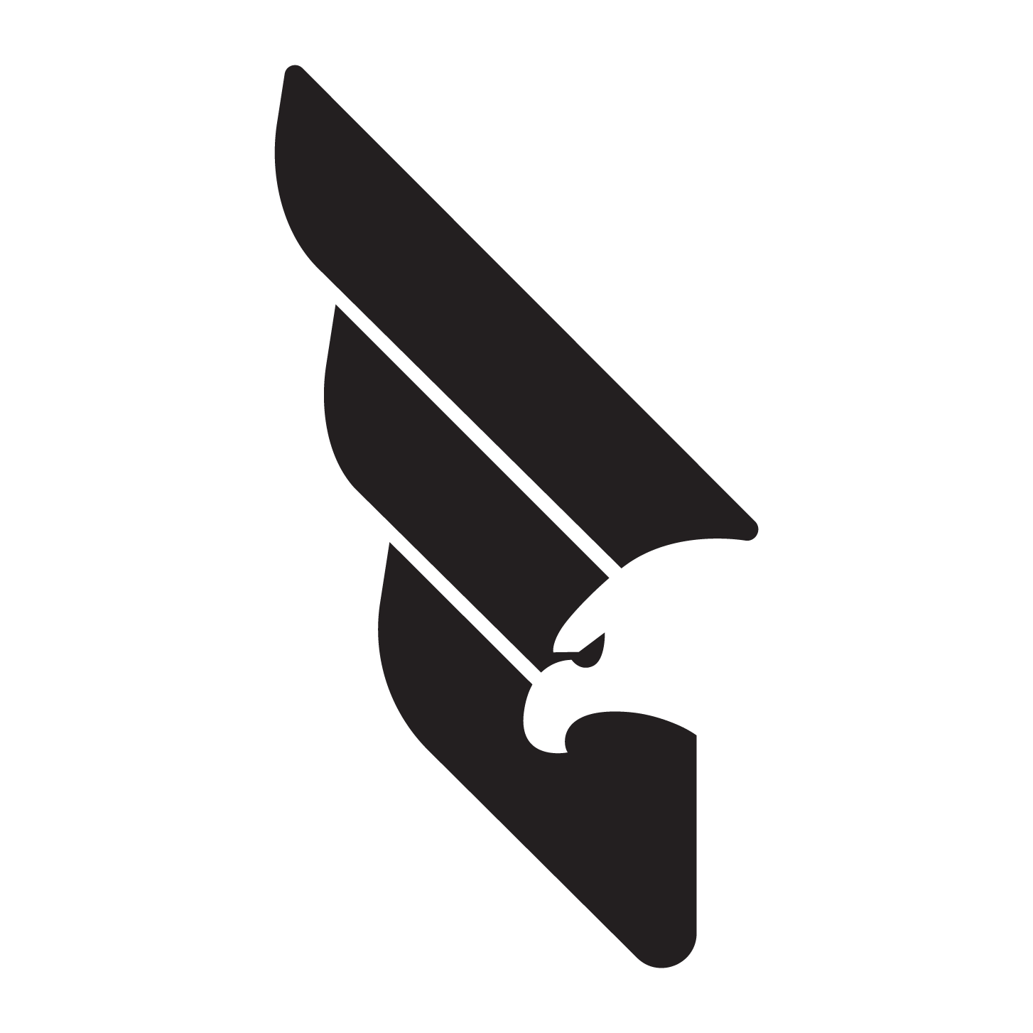 project logo