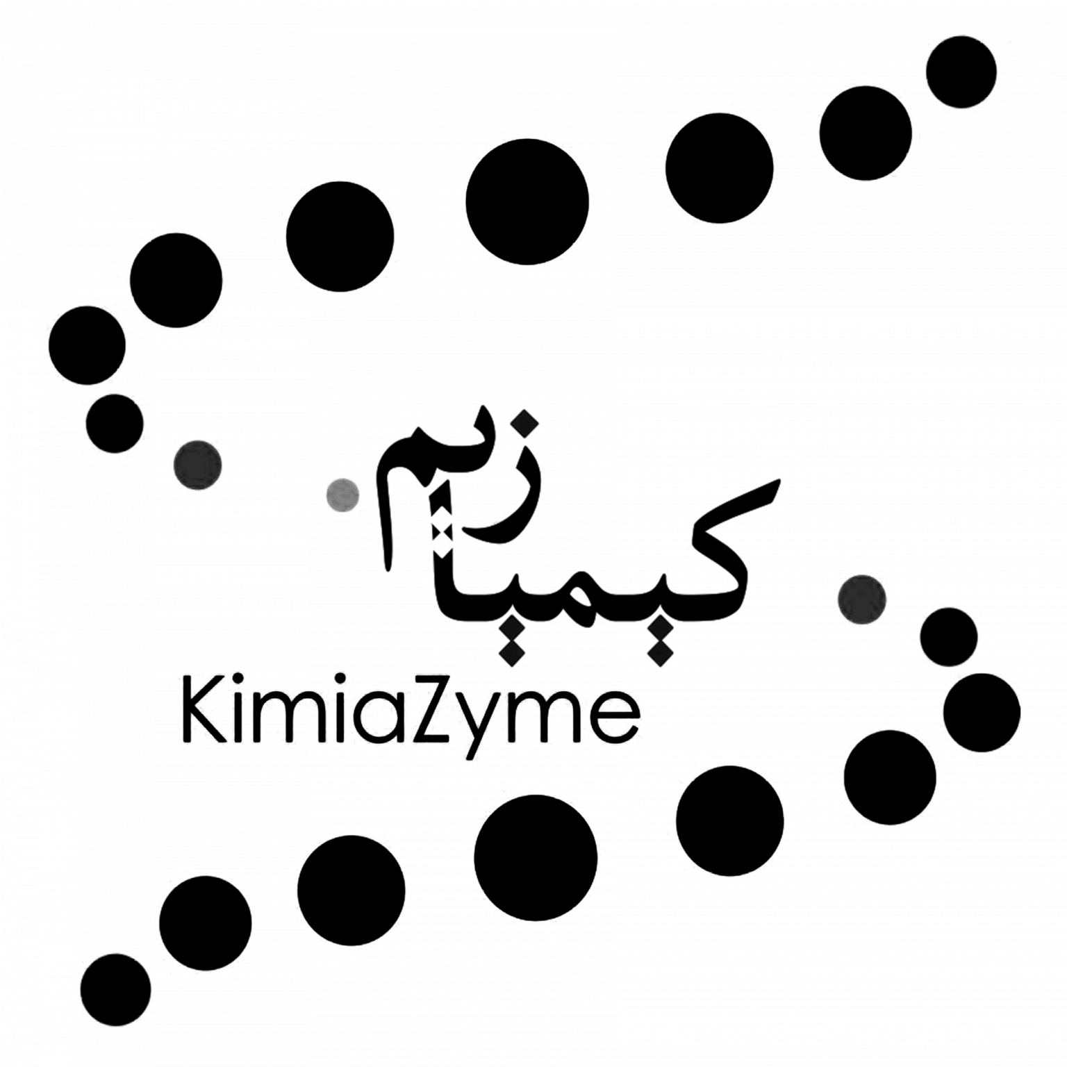 project logo