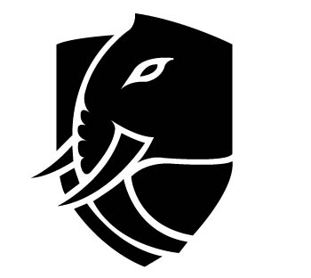 project logo