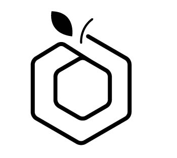 project logo